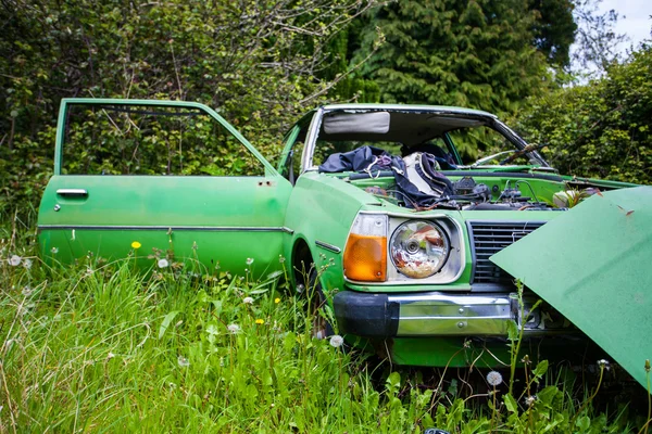 Auto im Feld Stockbild