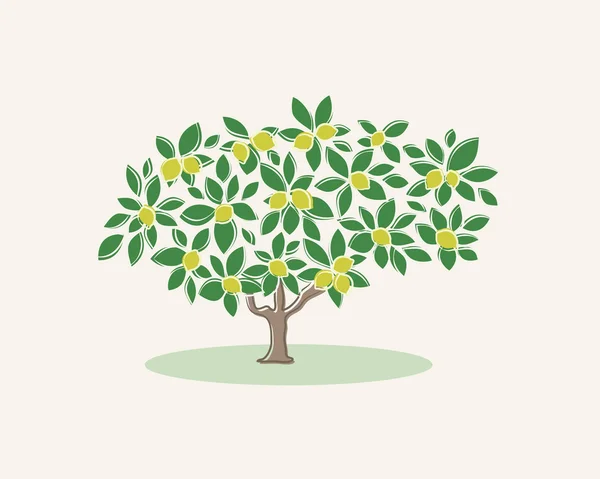 Bir limon ağacı üzerinde hafif bir arka plan görüntüsü — Stok Vektör