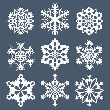 dokuz kar taneleri kümesi