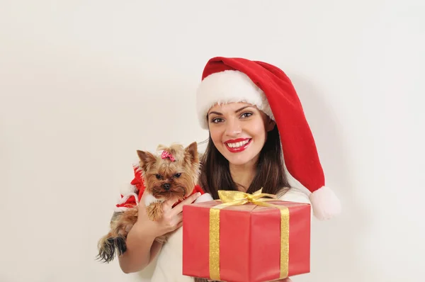 Atractiva mujer feliz en Santa sombrero con juguete terrier y presente —  Fotos de Stock