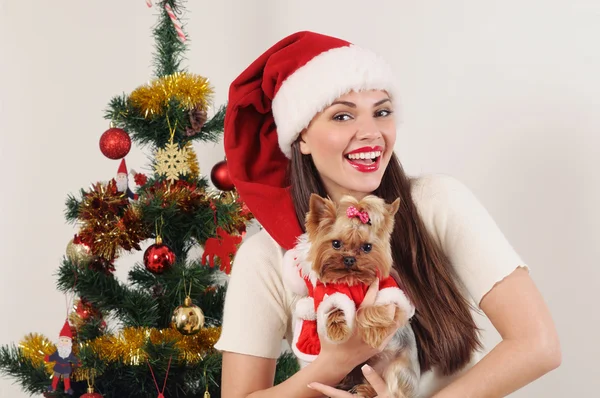 Szczęśliwy uśmiechający się włos w Santa hat z Terier w pobliżu Boże Narodzenie — Zdjęcie stockowe
