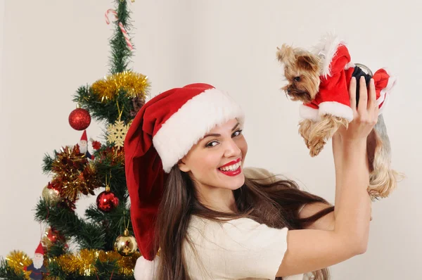 Mujer feliz en Santa sombrero con juguete terrier en árbol de Navidad espalda —  Fotos de Stock