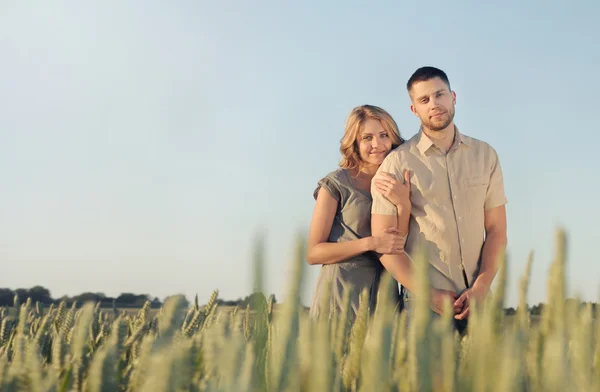 Stunning sensual young couple in love posing in summer field — Stock Photo, Image