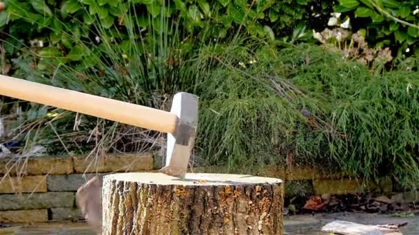 Лесоруб рубит дрова замедленной съемки — стоковое видео