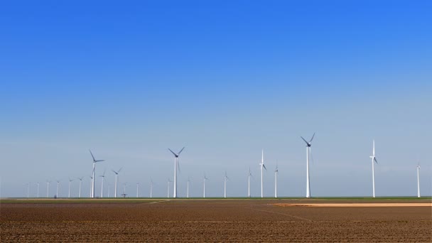 Group of wind turbines at farmland — Stock Video