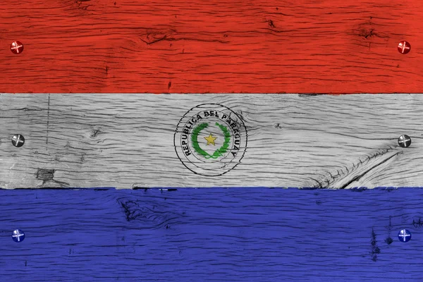 Paraguay national flag painted old oak wood fastened — Stock Photo, Image