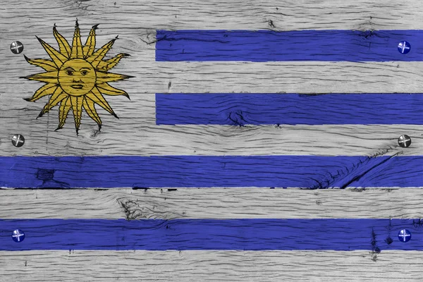 Drapeau national Uruguay peint vieux bois de chêne attaché — Photo
