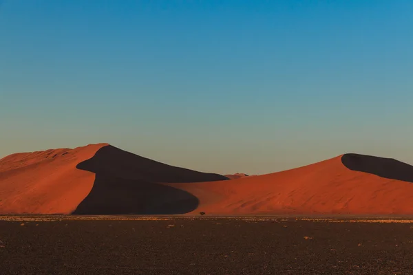 Mighty red sand dune at sunset Sossusvlei — Stock Photo, Image