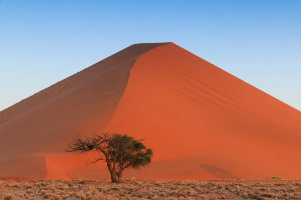 Spectacular red sanddune centered sunset Sossusvlei — Stock Photo, Image