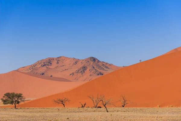 Sand dune with dead trees deadvlei Namibia