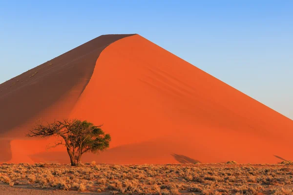 Spectacular red sanddune close up sunset Sossusvlei — Stock Photo, Image