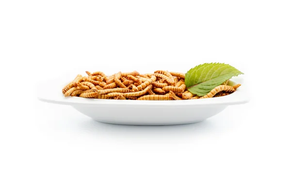 Dekorasyonu ile beyaz tabakta sağlıklı mealworms