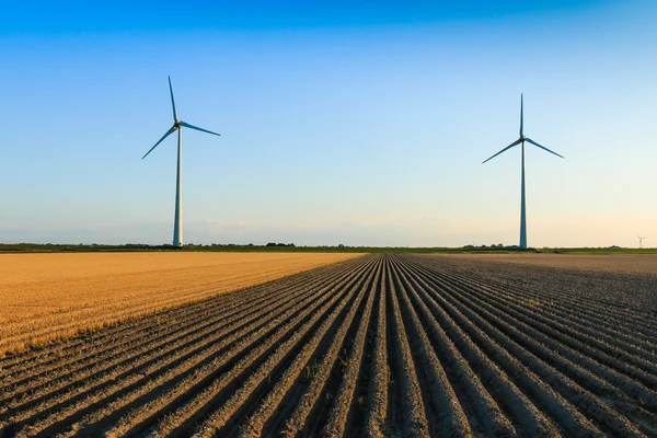 Windmills at farmer fields — Stock Photo, Image