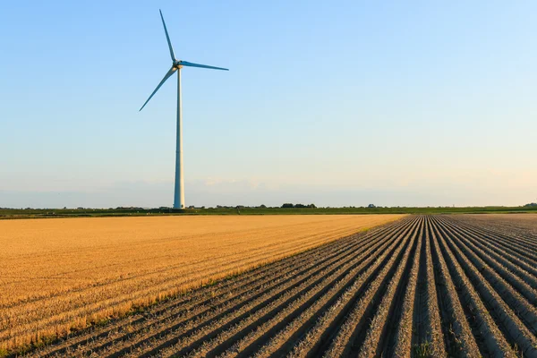 Molino de viento en los campos agrícolas — Foto de Stock