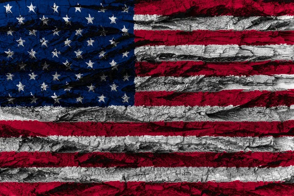 ΗΠΑ, η αμερικανική εθνική σημαία ζωγραφισμένα ξύλινα φλοιό δέντρου — Φωτογραφία Αρχείου