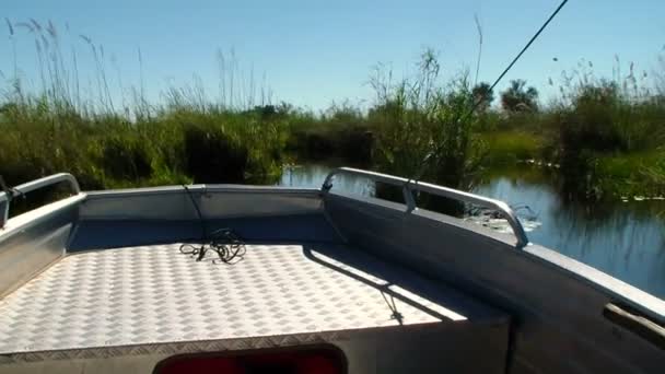 Canal de viagem de barco okavango delta Botswana África — Vídeo de Stock