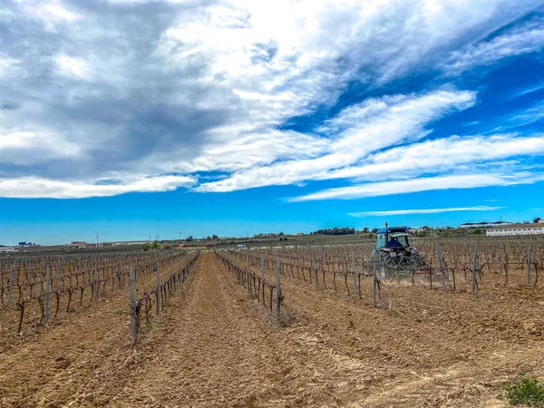 Tractor Trabajando Tierra Viñedo —  Fotos de Stock