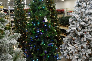 Columbus Ohio 10 Kasım 2020 Satılık Noel Ağaçları.