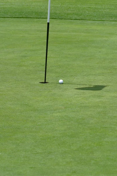 Los Angeles Usa June 2012 Golfers Enjoying Golf Charity Event — Stock Photo, Image