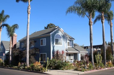 Venedik CA 8 Kasım 2020 Güney Kaliforniya 'da çeşitli sulu bitkiler.