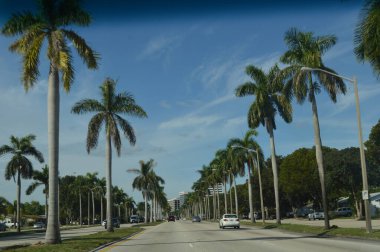 West Palm Beach, CA USA Circa- Mayıs 2015: Palm Tree, West Palm Beach Florida 'da sıralanmış sokak.