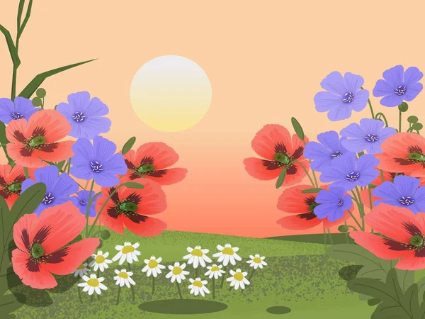 Baharda Ukrayna bozkırlarında yabani gelincikler ve ketenler açıyor..