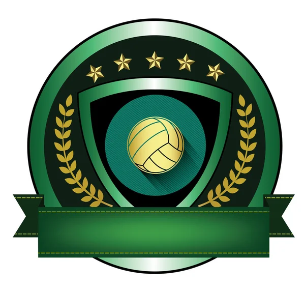 バレーボールのロゴの図 — ストックベクタ