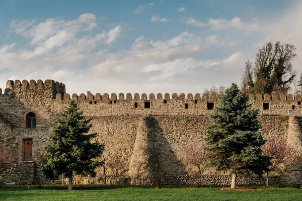 Deniz tarağı kaplı ve kulesi olan antik taş bir duvar. Önünde, yeşil bir çimenlikte iki kozalaklı ağaç yetişiyor. Bir ortaçağ şatosunun iskelesi. Savunma duvarının bir parçası..