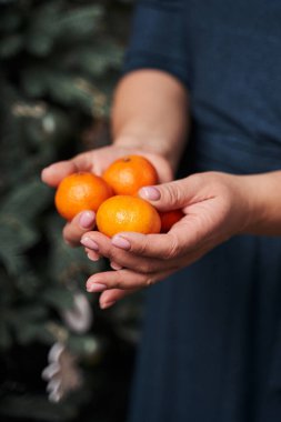 Parlak turuncu mandalinalar kadınların ellerinde Noel ağacının arka planında                               