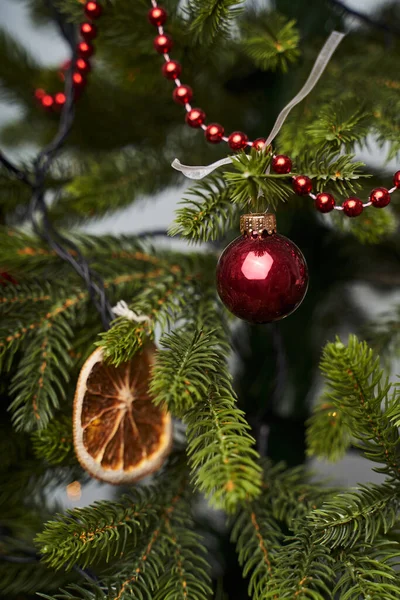  Noel ağacı oyuncakları kırmızı top ve kuru turuncu dilim yeşil noel ağacına tutunun                              