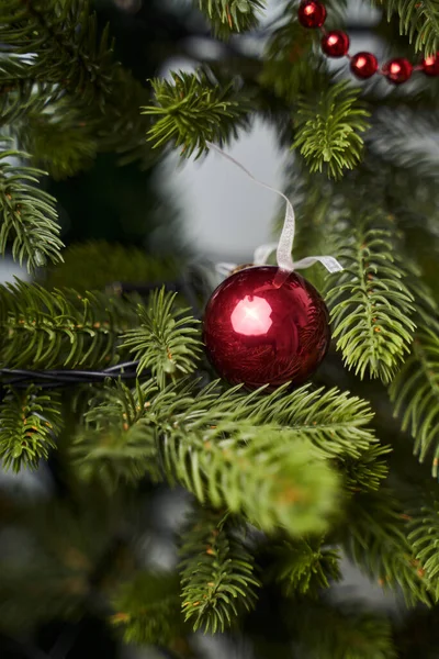 a beautiful Christmas decoration on a Christmas tree in the form of a red ball and red beads hang on a green Christmas tree