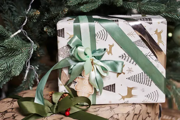 Nane ve altın kurdeleyle bağlanmış bir hediyeyle Noel kutusu yeşil bir Noel ağacının altında yatıyor.                               