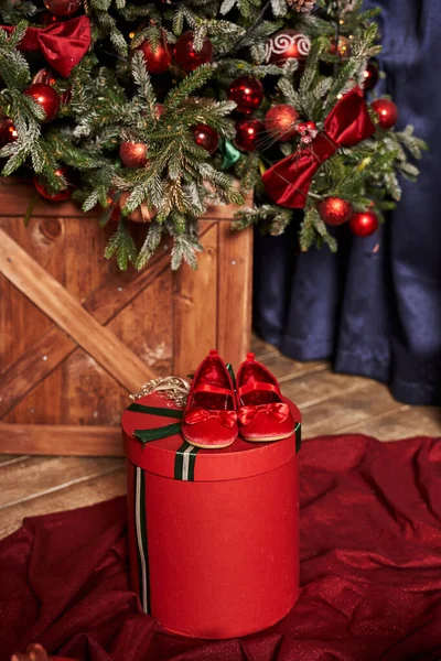 Ağacın altında kırmızı kadife bebek ayakkabıları                               