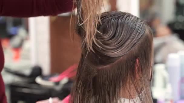 Mains Féminines Partie Séparée Cheveux Longs Humides Avec Peigne Rose — Video