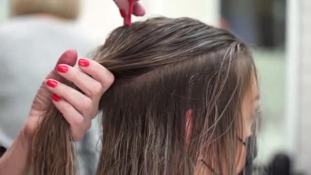 Tangan Penata Rambut Memisahkan Bagian Dari Rambut Panjang Basah Kepala — Stok Video