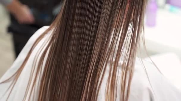Bir Kuaförün Ellerine Yakın Plan Uzun Islak Saçlarını Ince Bir — Stok video
