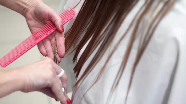 Tangan Penata Rambut Memotong Ujung Panjang Rambut Cokelat Terang Dengan — Stok Video
