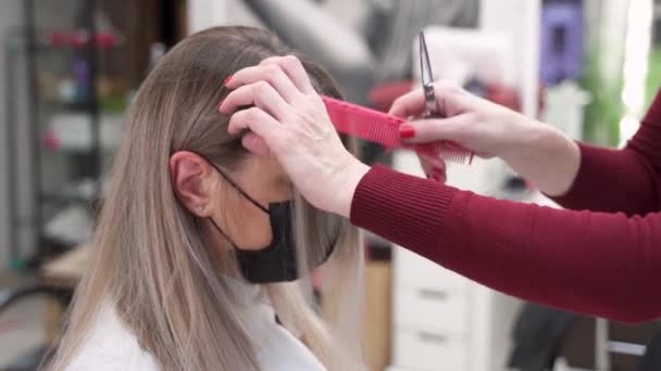 Gros Plan Des Mains Coiffeur Peigner Fin Peigne Rose Couper — Video