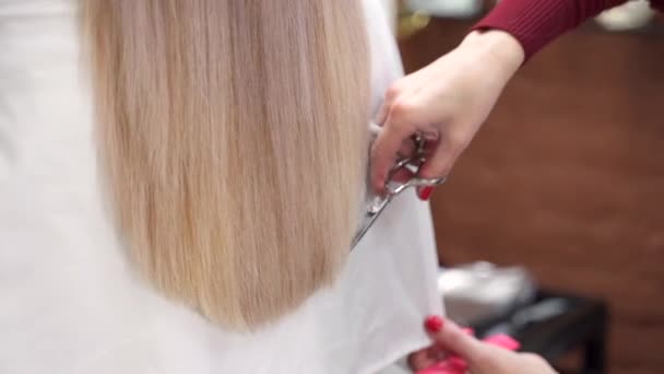 Friseurhände Schneiden Lange Weiße Haare Mit Schere — Stockvideo