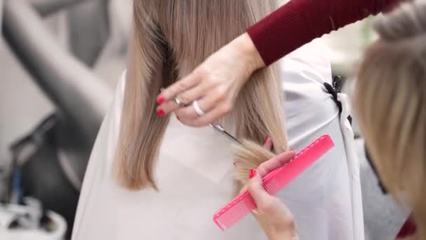 Güzellik Salonunda Koruyucu Maskeli Bir Kuaför Uzun Saçlar Kesiyor Müşterinin — Stok video