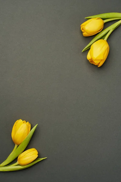 Alt ve üst köşelerde birbirine zıt iki sarı lale tomurcuğu bulunan dikey gri arkaplan