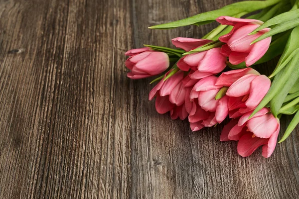 Bir buket güzel pembe lale üst sağ arka planda güzel bir şekilde yatar.