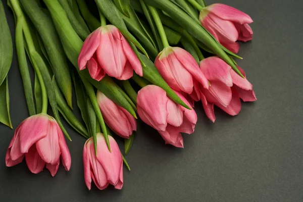 Gri arka planda kocaman pembe laleleri olan bir buket.