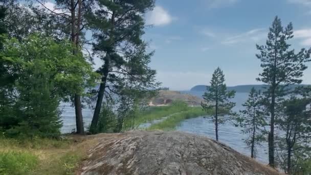Ladoga Nın Kıyıları Taştan Bir Ada Kozalaklı Orman — Stok video