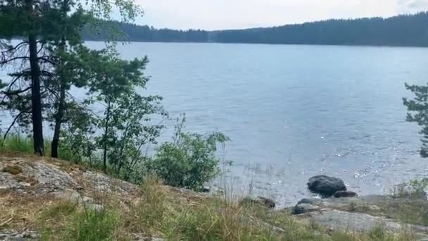 Lac Forestier Avec Grandes Pierres Près Rivage — Video