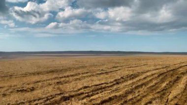 Tarladaki güzel yol yere yuvarlandı. Ve büyük bulutlu güzel mavi bir gökyüzü. Ufka yakın bir göl görülür.