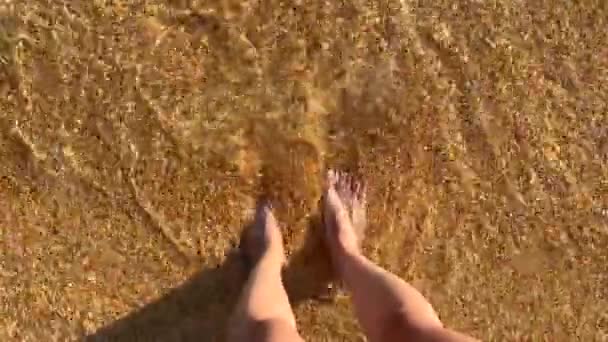 Красивые Женские Ноги Стоят Песке Омываются Прозрачным Чистым Морем Волнами — стоковое видео