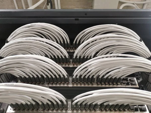 Câblage Rack Transfert Données Avec Connecteurs — Photo