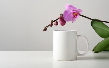 Minimalist bir iç mekânda orkide dekoru olan bir masanın üzerindeki beyaz bardakların maketi. Tasarımınız için şablon, reklam, fotokopi alanı olan logo. Açık gri arkaplan