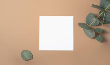 Gerçek fotoğraf. okaliptüs dallı kare davetiye modeli. Üst görünümü fotokopi alanı, pastel bej arkaplanı. Markalaşma ve reklam şablonu.